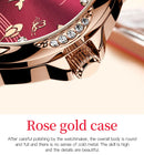 Relógio Olevs  automático de luxo, pulseira de cerâmica, à prova d'água, luminoso, design de libélula, feminino